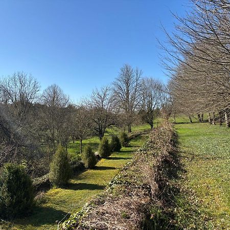 Chateau La Hussardiere Dampierre-sur-Salon 外观 照片