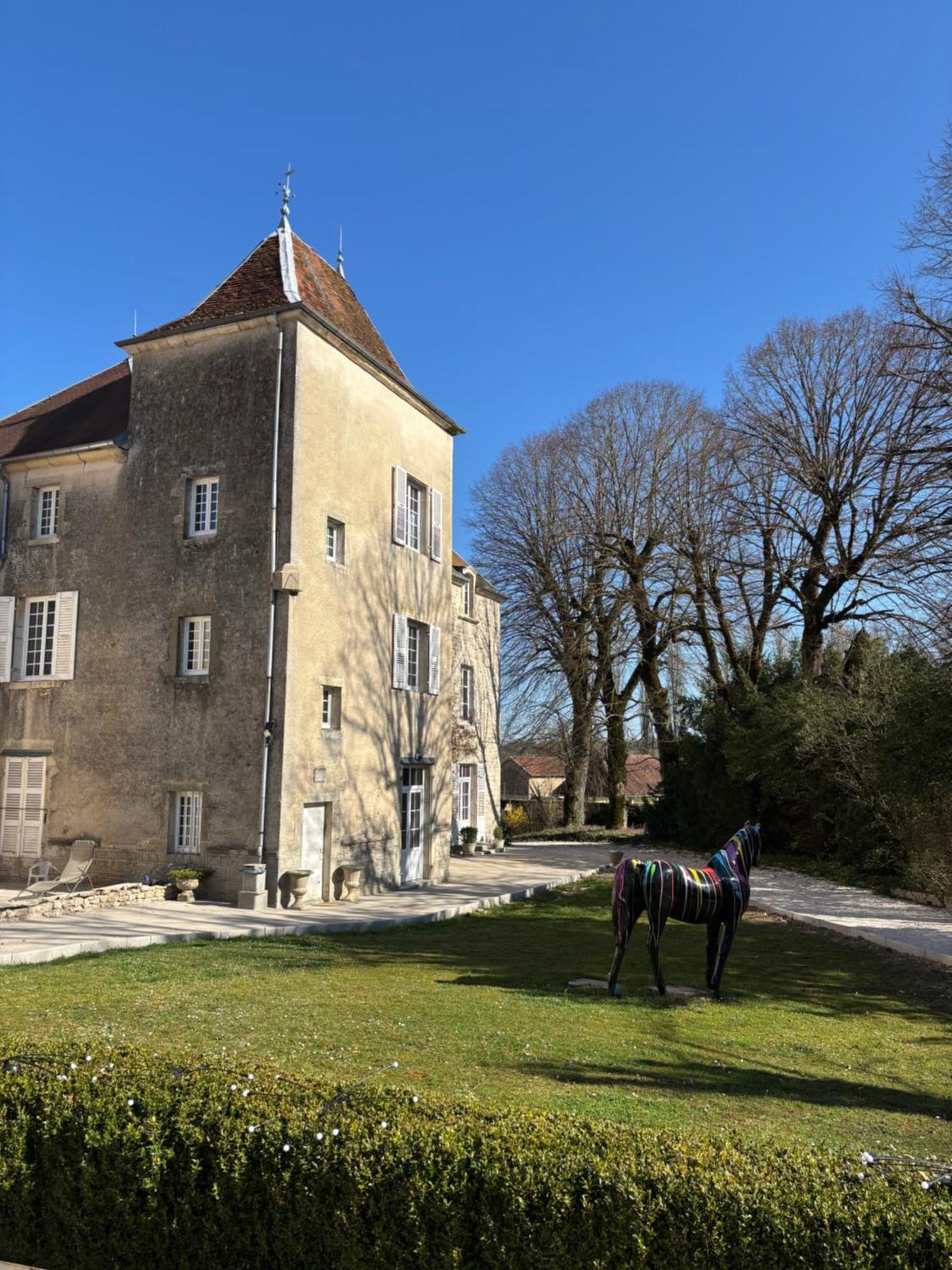 Chateau La Hussardiere Dampierre-sur-Salon 外观 照片